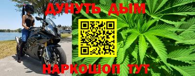 сатива Кумертау